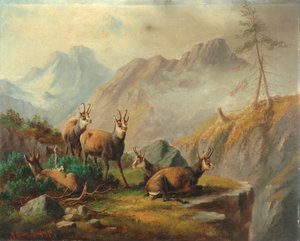 Paisaje